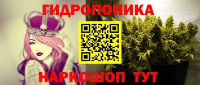 спиды Бийск