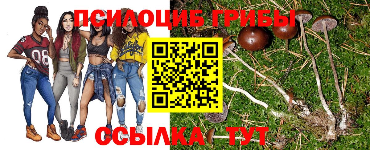 магазин продажи наркотиков  Вход с VPN  Качканар  Галлюциногенные грибы GOLDEN TEACHER 