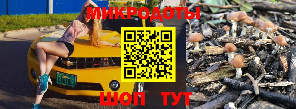 Галлюциногенные грибы Psilocybine cubensis Качканар